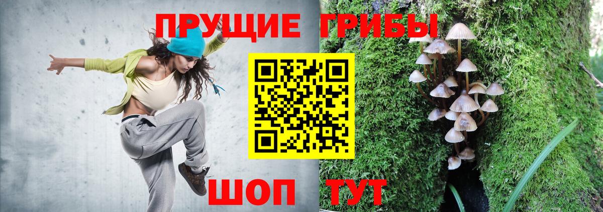 Галлюциногенные грибы Cubensis Торжок