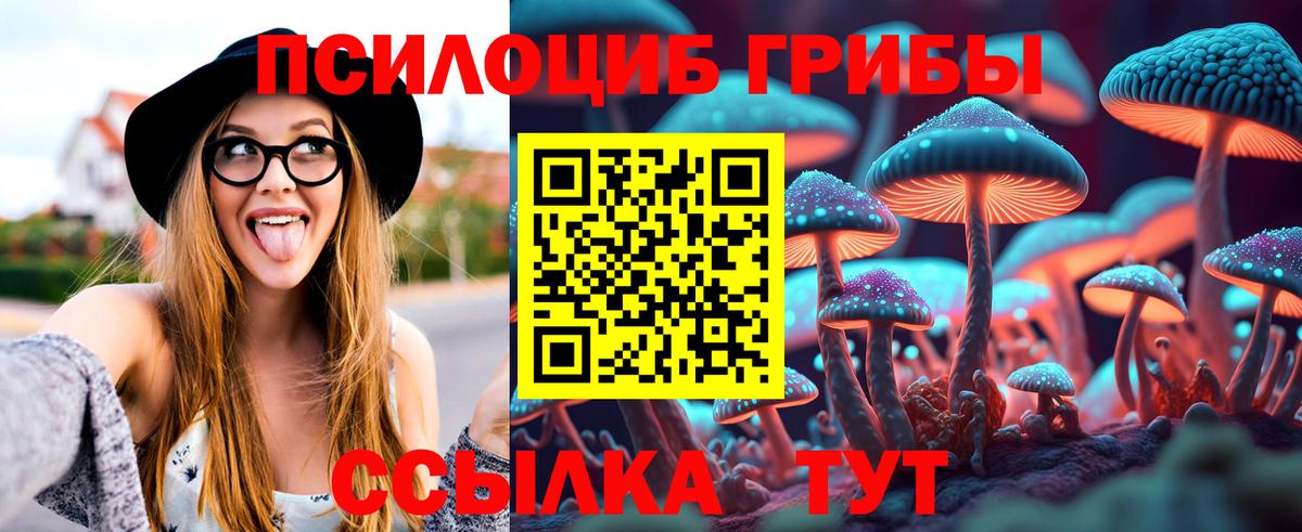 Псилоцибиновые грибы MAGIC MUSHROOMS  Вход с VPN  Торжок 